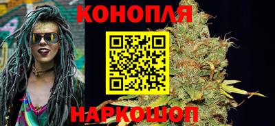 сатива Конаково