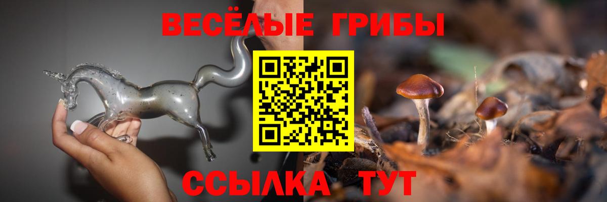 Коркино  Галлюциногенные грибы MAGIC MUSHROOMS  Вход с VPN 