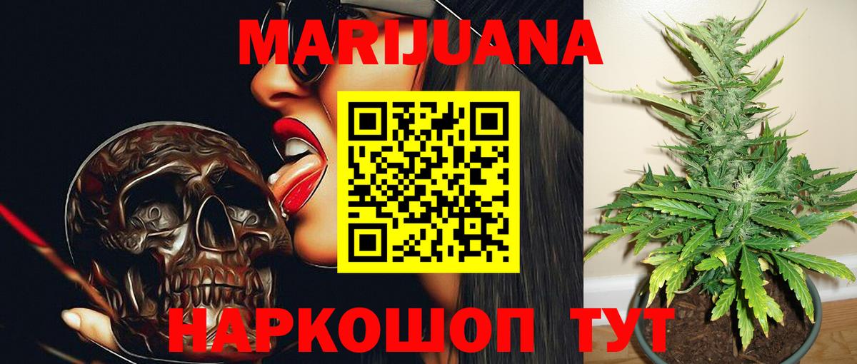 Канабис сатива Коркино